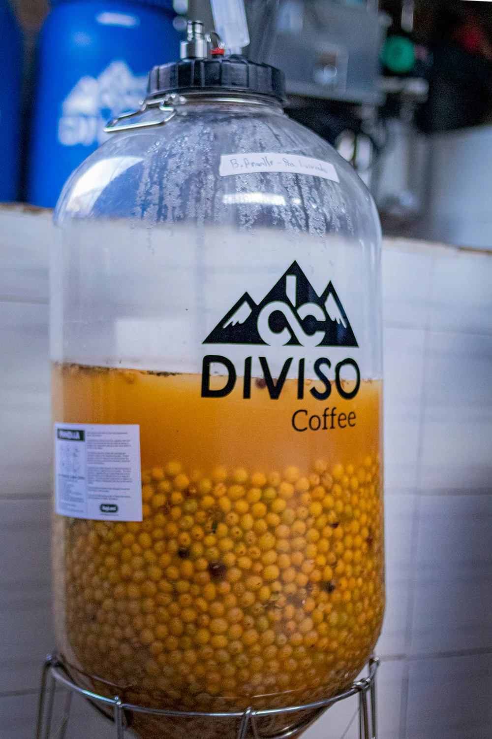 El Diviso. Yellow Papayo. Cafe De Colombia - Image 4