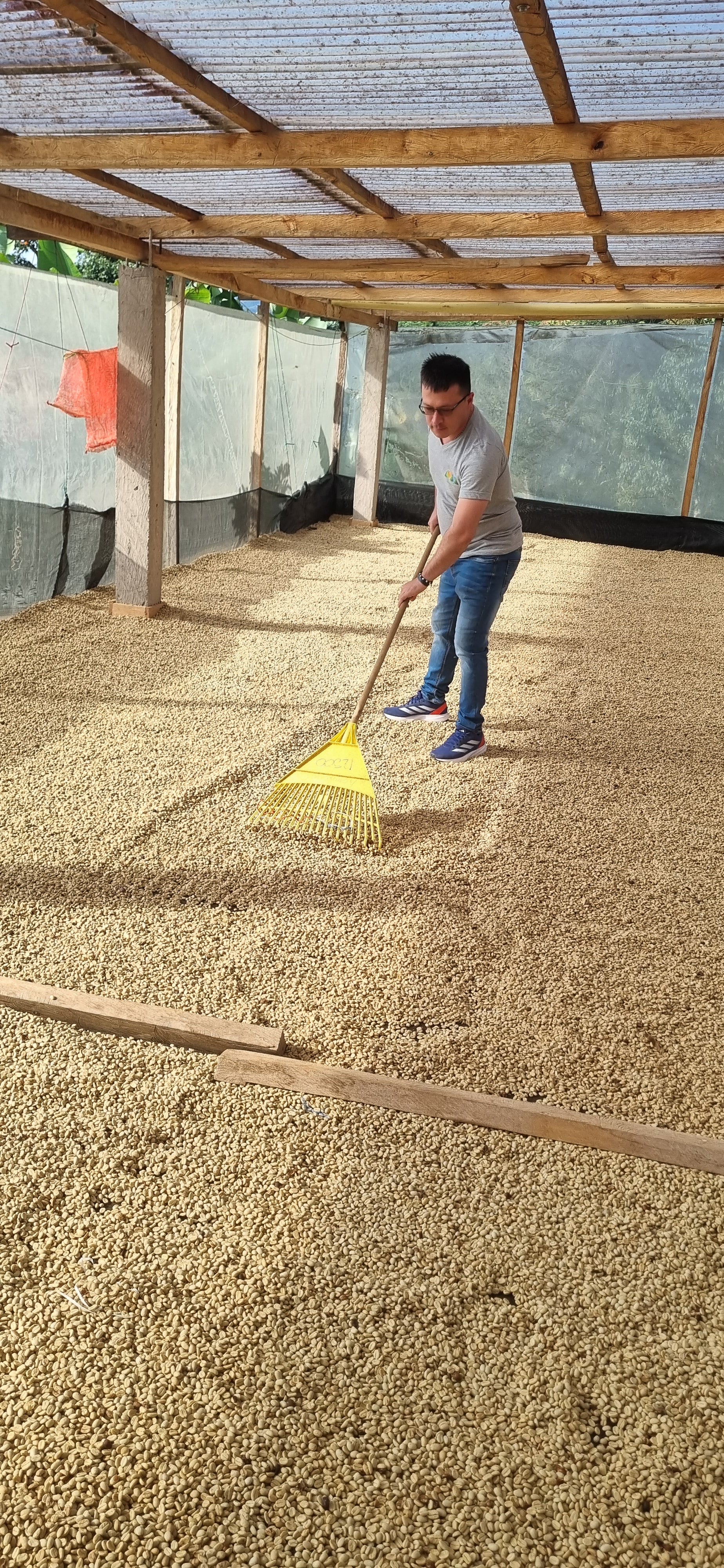 Golden Peach. Café de Colombia - Image 6